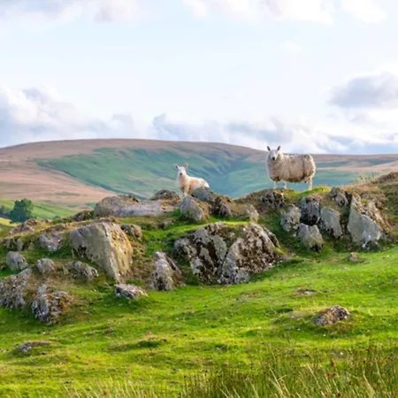 Σπίτι διακοπών 3 Bed In Askham 93429 Askham (Cumbria)